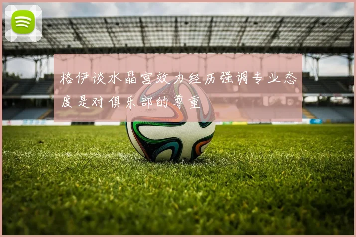 格伊谈水晶宫效力经历强调专业态度是对俱乐部的尊重