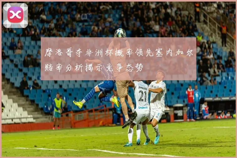 摩洛哥夺非洲杯概率领先塞内加尔赔率分析揭示竞争态势